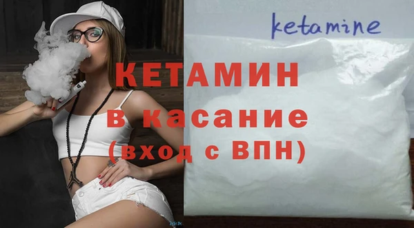 гашик Алексин