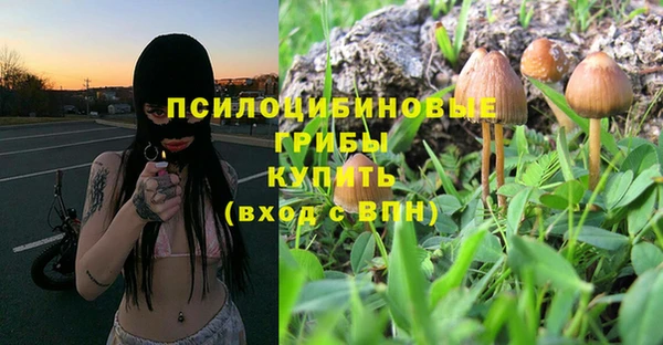 героин Алзамай