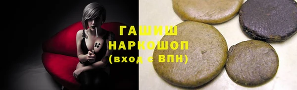 гашик Алексин