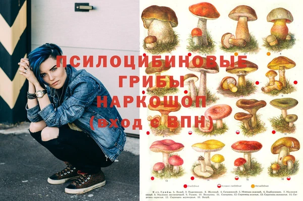 гашик Алексин