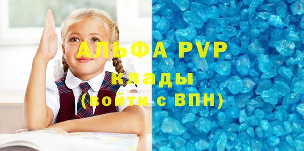 гашик Алексин