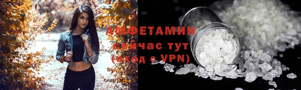 гашик Алексин