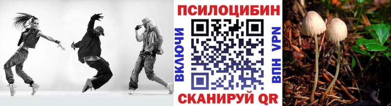 Галлюциногенные грибы Psilocybine cubensis  Юрьев-Польский 
